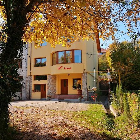 Vila Liana Brasov Exterior photo